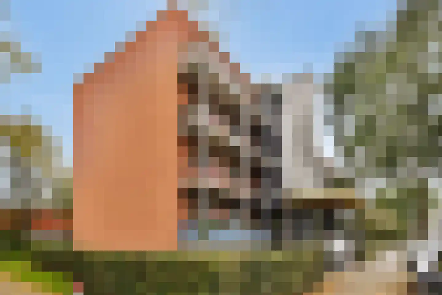 Kemperpad 73 Rotterdam thumbnail 20