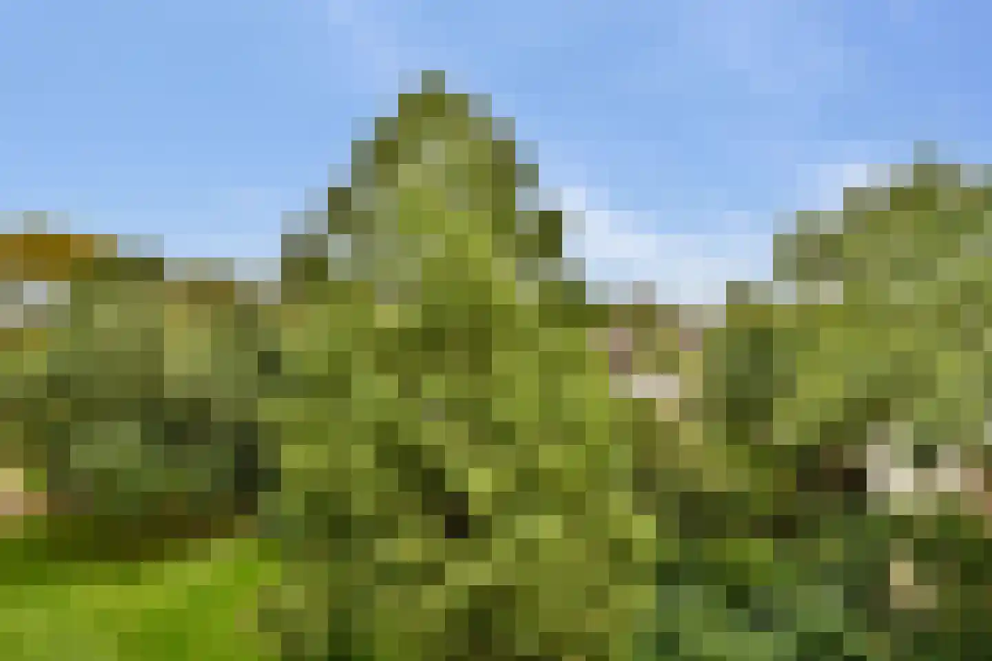 Kemperpad 73 Rotterdam thumbnail 7