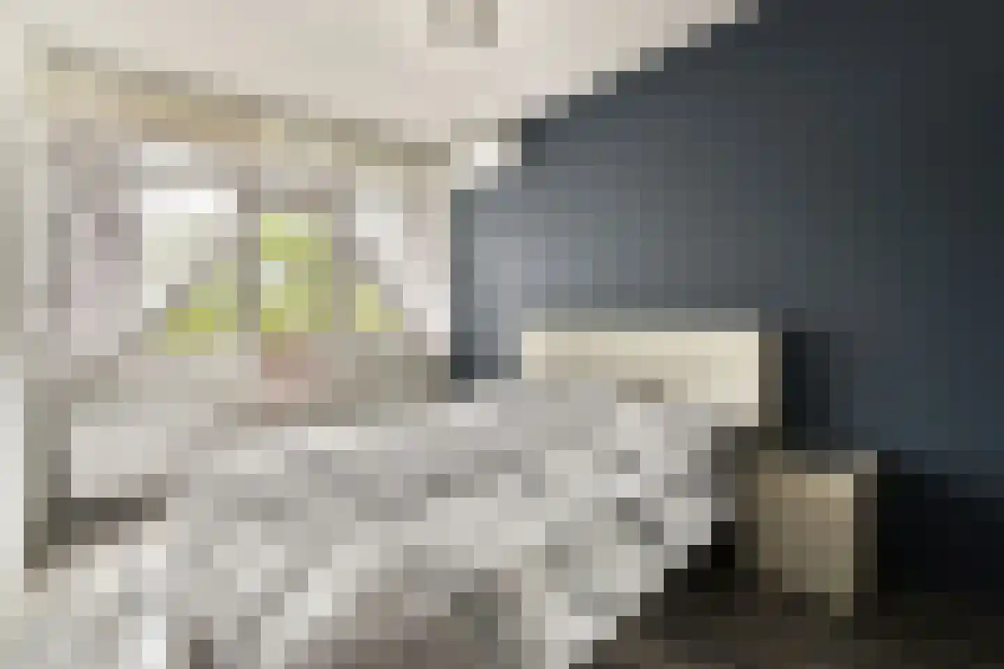 Kemperpad 73 Rotterdam thumbnail 8