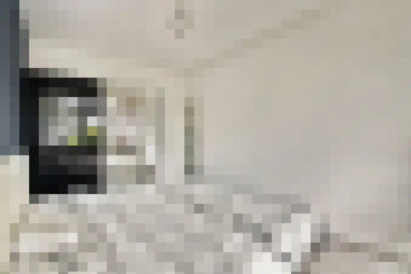 Kemperpad 73 Rotterdam thumbnail 9
