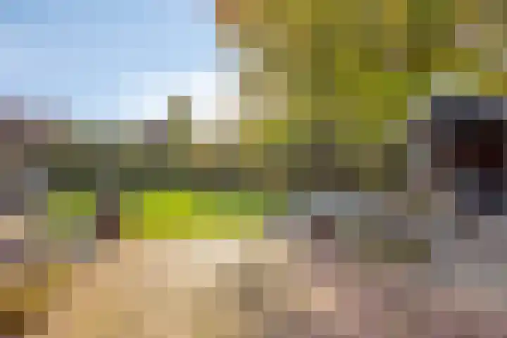 Kempersdijk 10 a Neede thumbnail 40