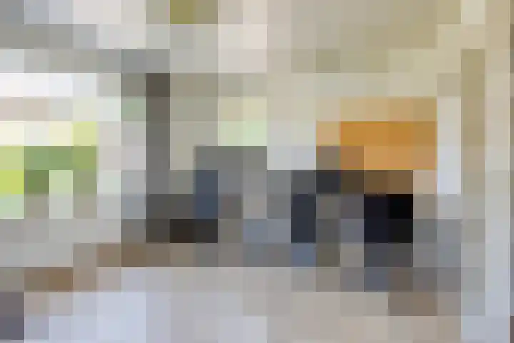 Kempersdijk 20 Neede thumbnail 19
