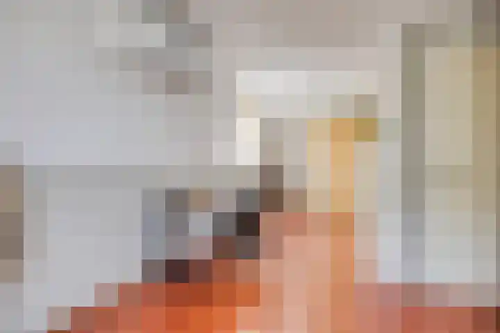 Kempersdijk 20 Neede thumbnail 31