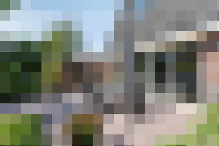 Kempersdijk 20 Neede thumbnail 35