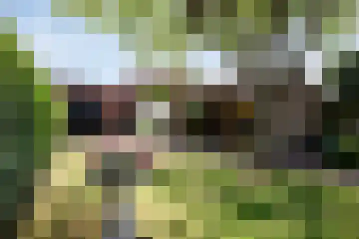 Kempersdijk 20 Neede thumbnail 37