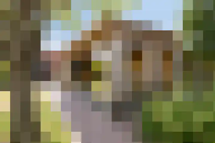 Kempersdijk 20 Neede thumbnail 40