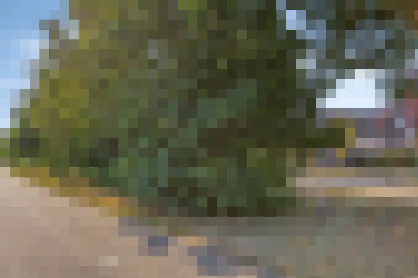 Kempersdijk 36 Neede thumbnail 37