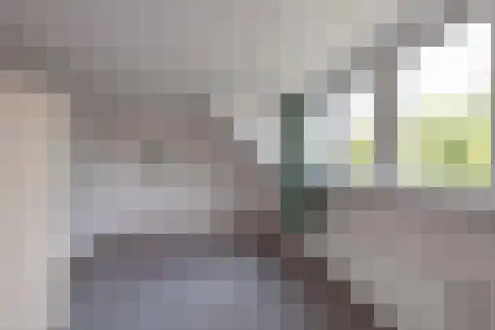 Kempersdijk 7 Neede thumbnail 19