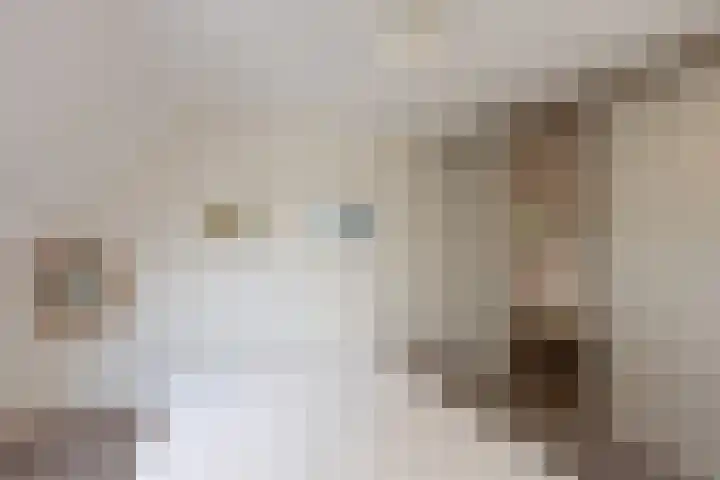 Kempersdijk 7 Neede thumbnail 21