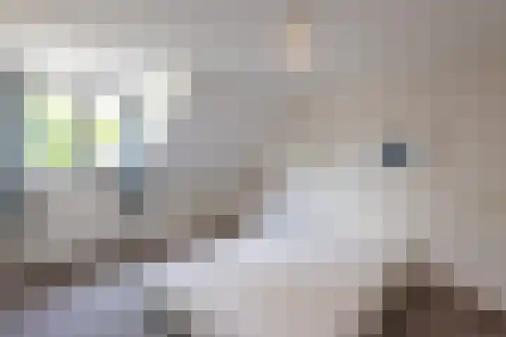 Kempersdijk 7 Neede thumbnail 22