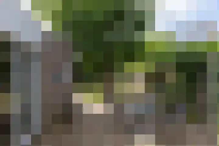 Kempersdijk 7 Neede thumbnail 30