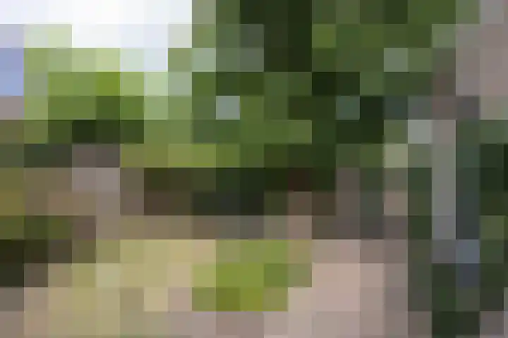 Kempersdijk 7 Neede thumbnail 33