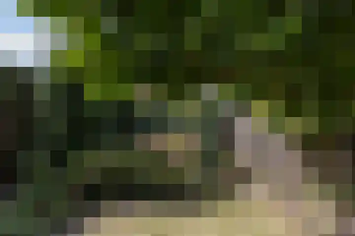 Kempersdijk 7 Neede thumbnail 34