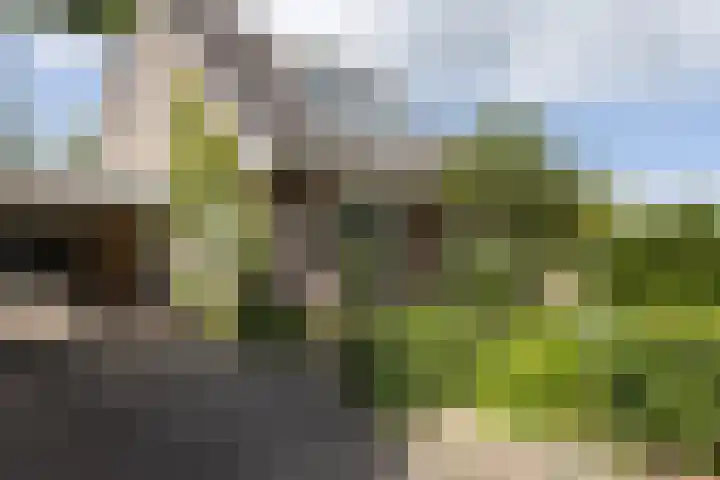 Kempersdijk 7 Neede thumbnail 37