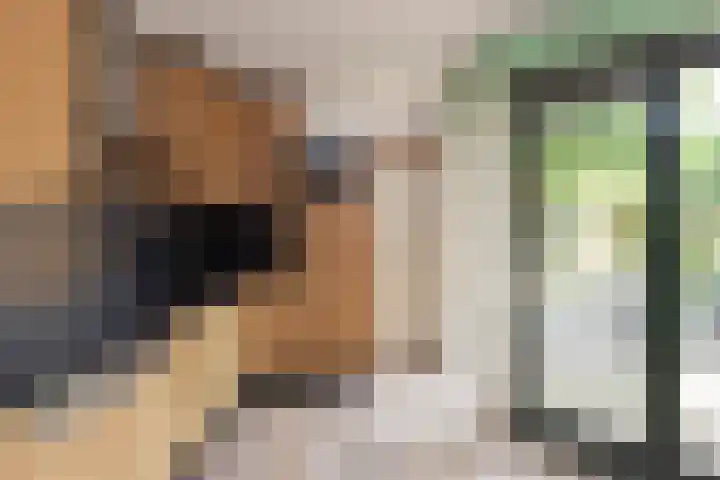 Kempersdijk 7 Neede thumbnail 7