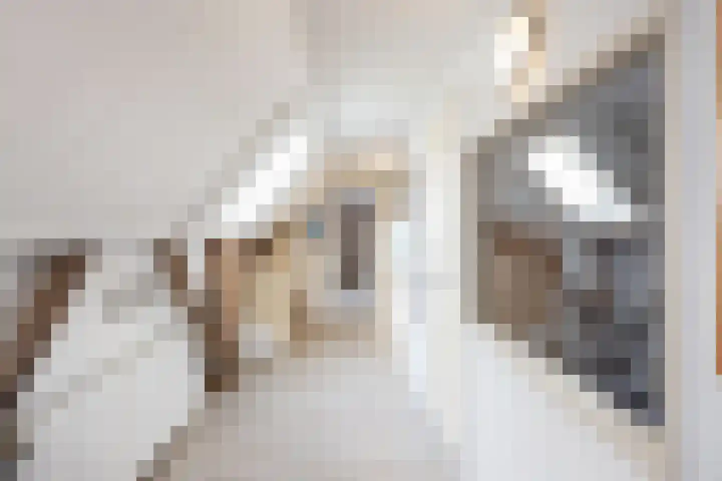 Kempersdijk 8 Neede thumbnail 33
