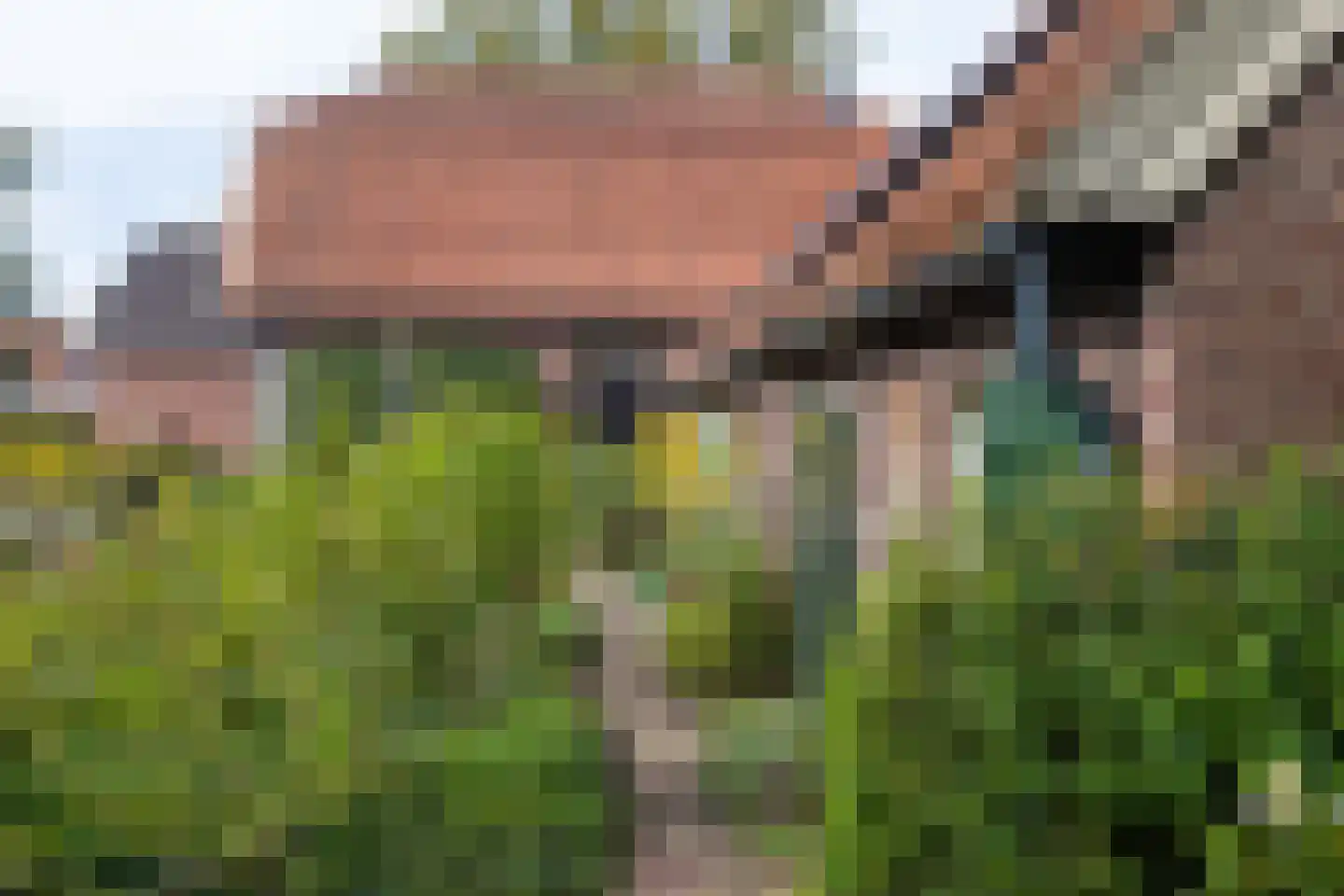Kempersdijk 8 Neede thumbnail 43