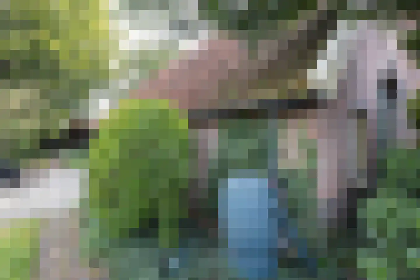 Kempersdijk 8 Neede thumbnail 44