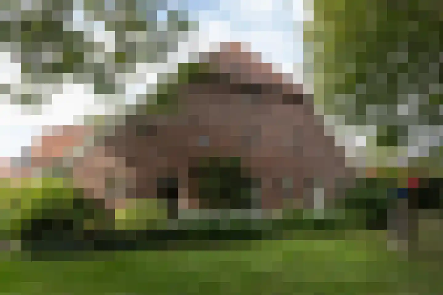 Kempersdijk 8 Neede thumbnail 46