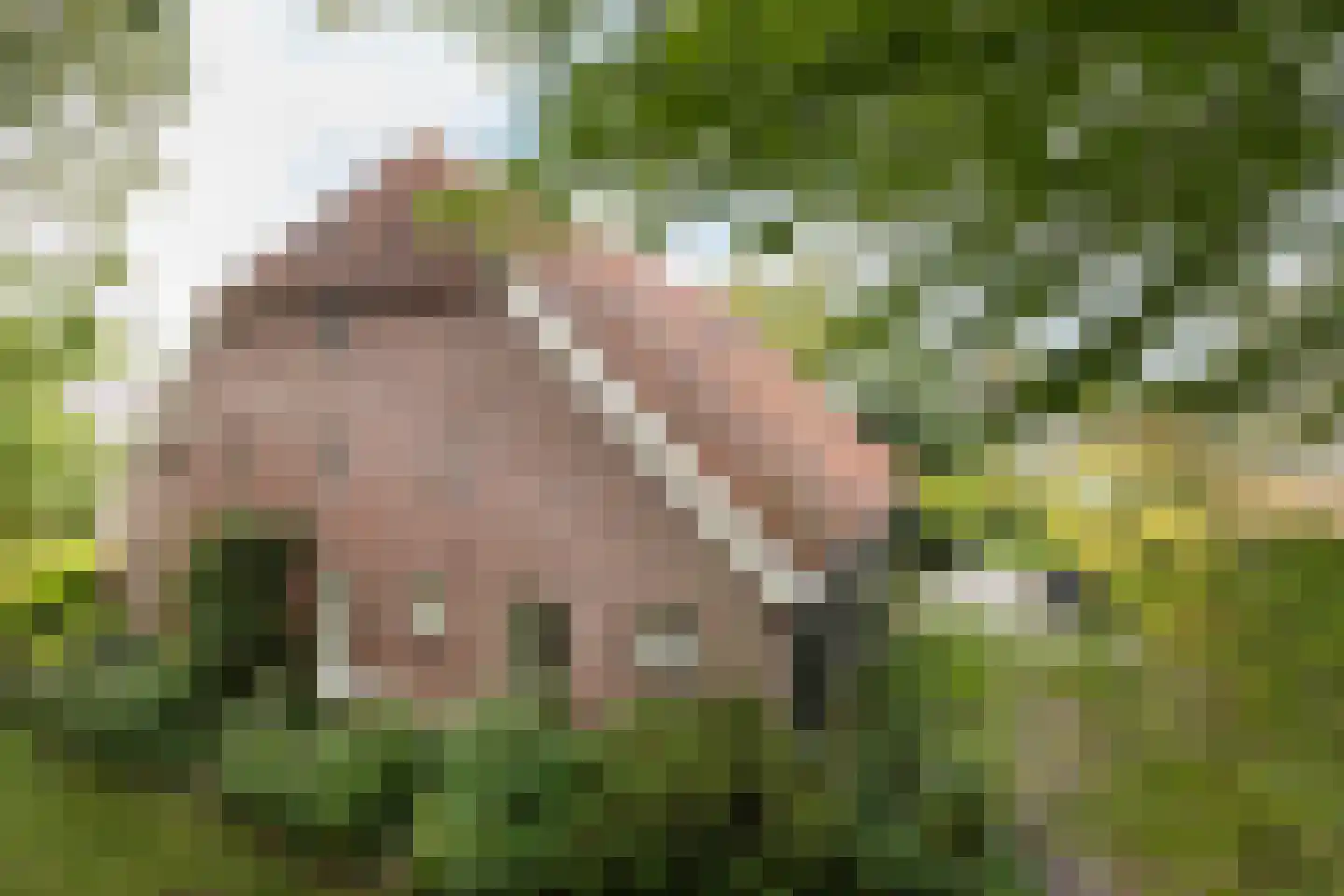 Kempersdijk 8 Neede thumbnail 47