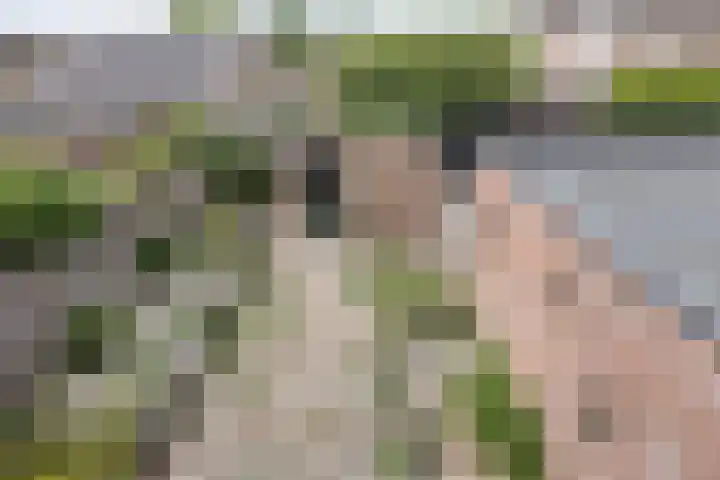 Kempershof 23 Neede thumbnail 15