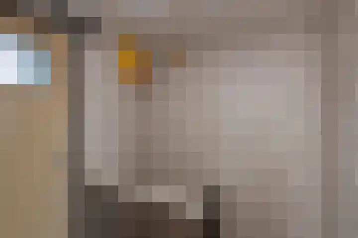 Kempershof 23 Neede thumbnail 9