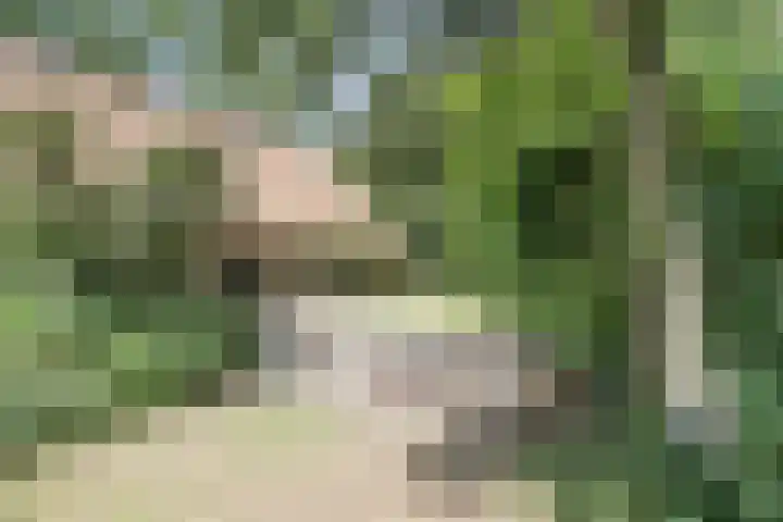 Kempersweg 4 Beltrum thumbnail 11