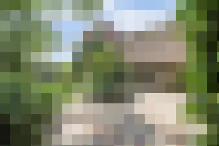 Kempersweg 4 Beltrum thumbnail 12