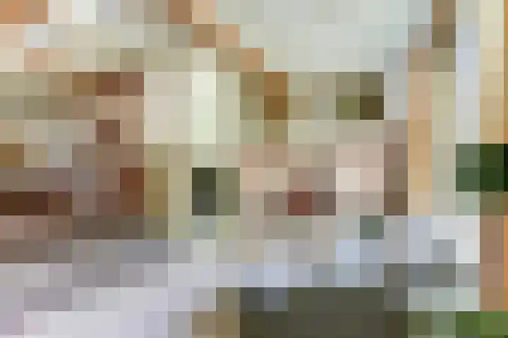 Kempersweg 4 Beltrum thumbnail 15