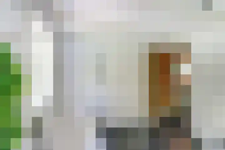 Kempersweg 4 Beltrum thumbnail 31