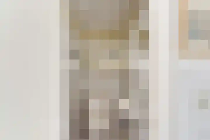 Kempersweg 4 Beltrum thumbnail 37