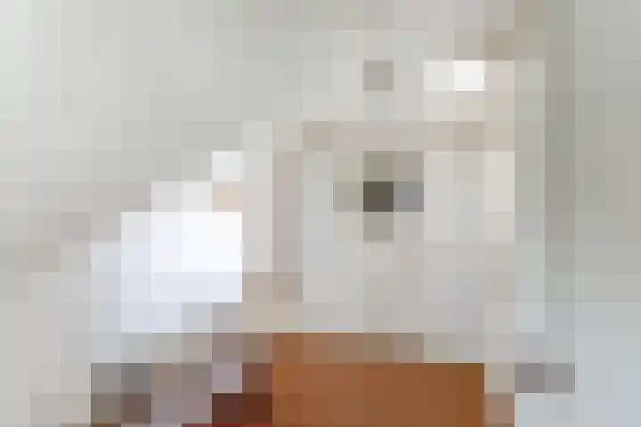 Kempersweg 4 Beltrum thumbnail 41