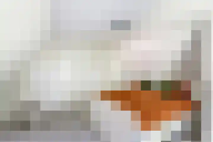 Kempersweg 4 Beltrum thumbnail 43