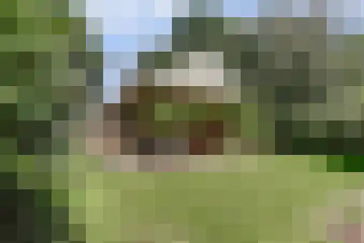 Kempersweg 4 Beltrum thumbnail 50