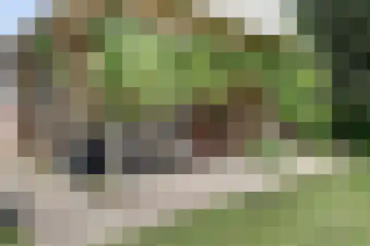 Kempersweg 4 Beltrum thumbnail 51