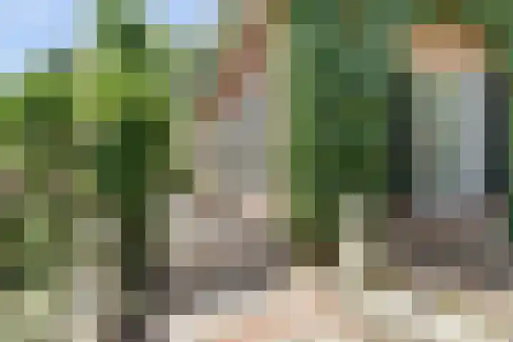 Kempersweg 4 Beltrum thumbnail 6