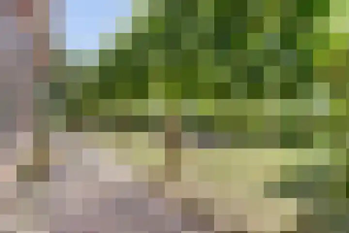 Kempersweg 4 Beltrum thumbnail 62