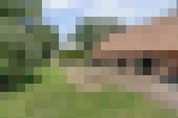 Kempersweg 4 Beltrum thumbnail 64
