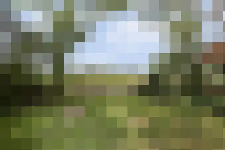 Kempersweg 4 Beltrum thumbnail 65