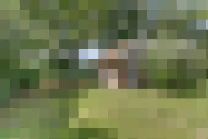 Kempersweg 4 Beltrum thumbnail 66