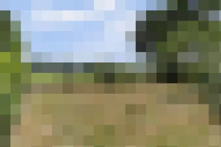 Kempersweg 4 Beltrum thumbnail 67