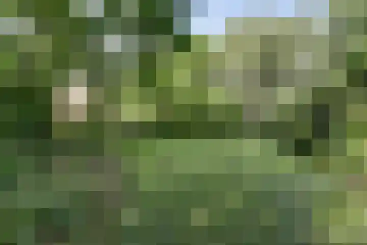 Kempersweg 4 Beltrum thumbnail 69