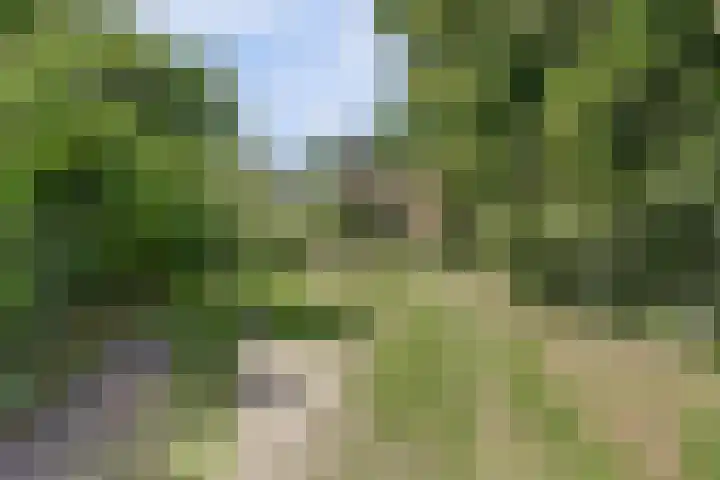 Kempersweg 4 Beltrum thumbnail 7