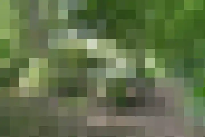 Kempersweg 4 Beltrum thumbnail 70