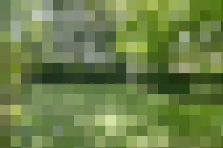 Kempersweg 4 Beltrum thumbnail 71