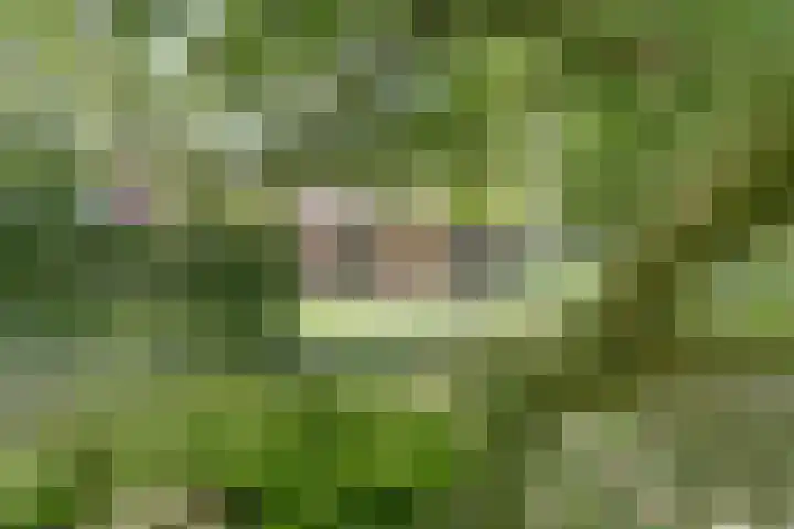 Kempersweg 4 Beltrum thumbnail 72
