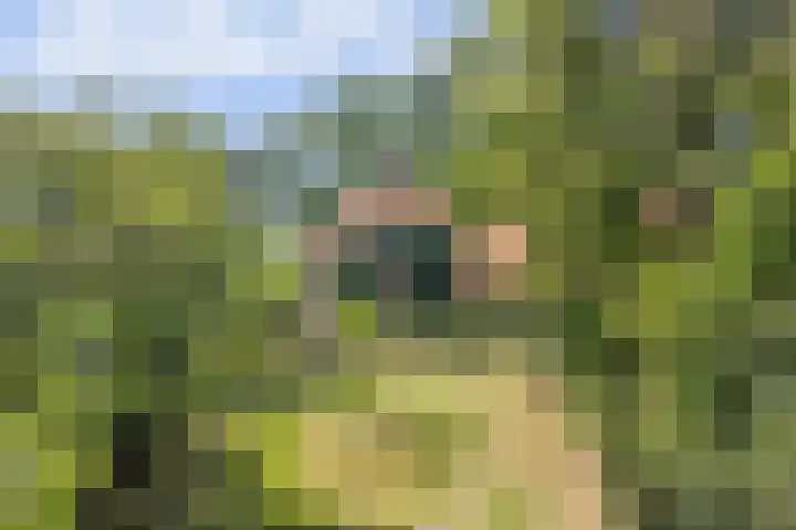 Kempersweg 4 Beltrum thumbnail 73