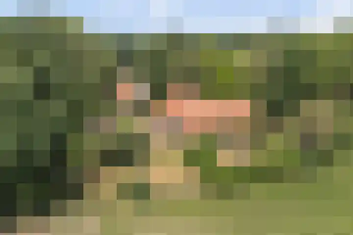 Kempersweg 4 Beltrum thumbnail 75