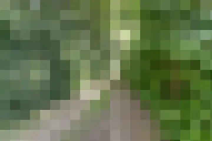 Kempersweg 4 Beltrum thumbnail 9