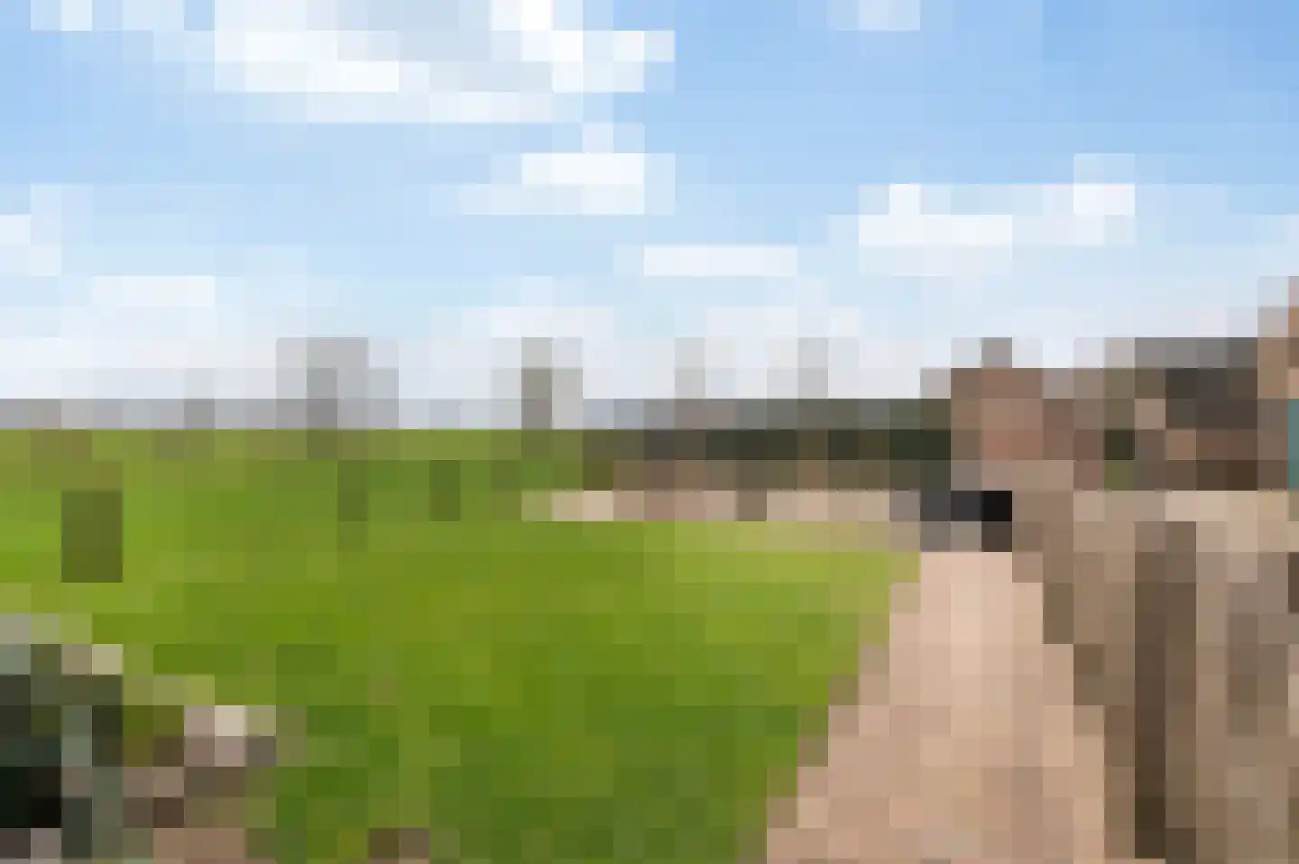 Kempersweg 9 b Beltrum thumbnail 28